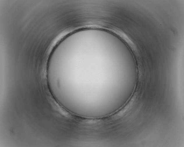 X0000115221240200911121918