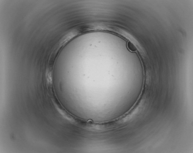 X0000115221241200911121918