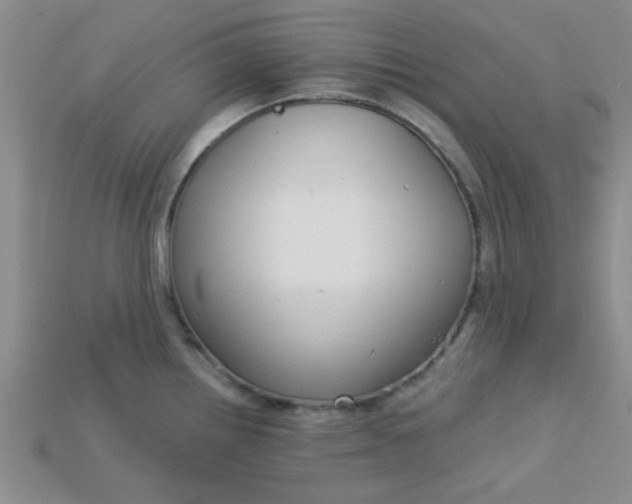 X0000115221242200911121918