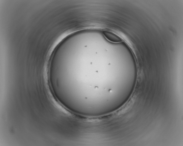 X0000115221243200911121918