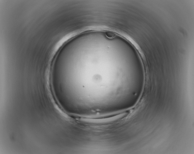 X0000115221245200911121918