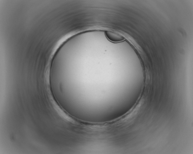 X0000115221246200911121918