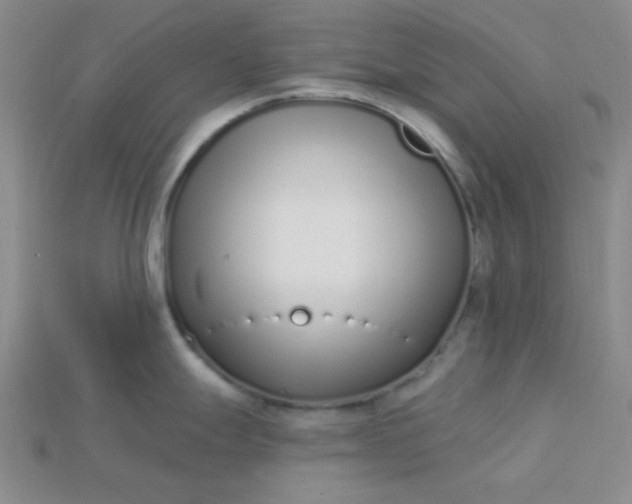 X0000115221247200911121918