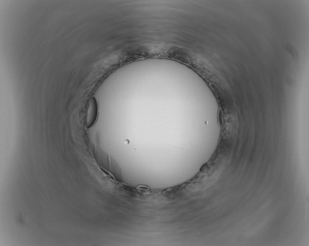 X0000115221249200911121917