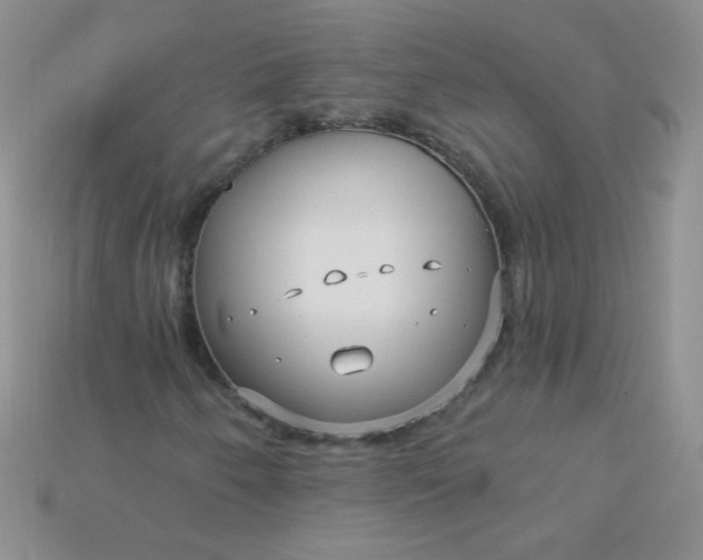 X0000115221250200911121917