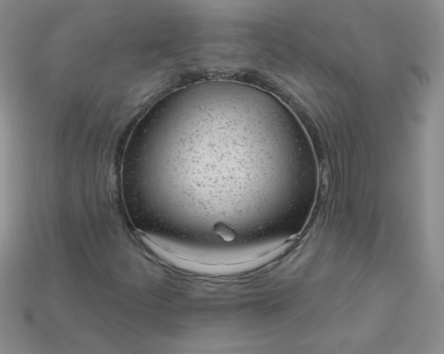 X0000115221252200911121917