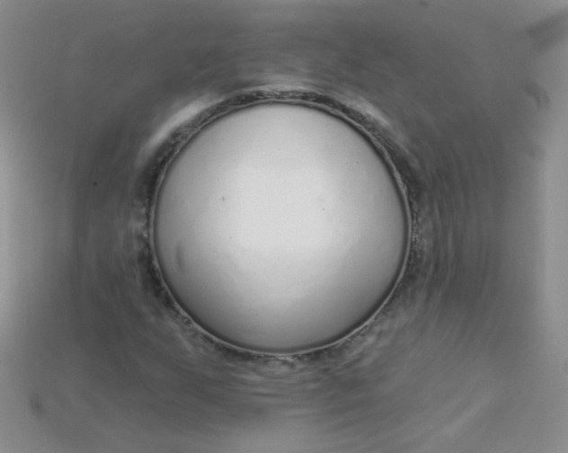 X0000115221255200911121917