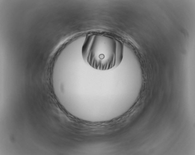 X0000115221256200911121917