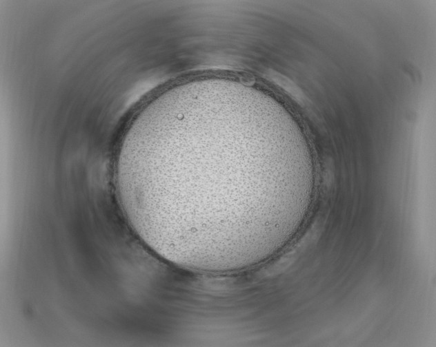 X0000115221258200911121917