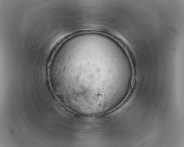 X0000115221259200911121917