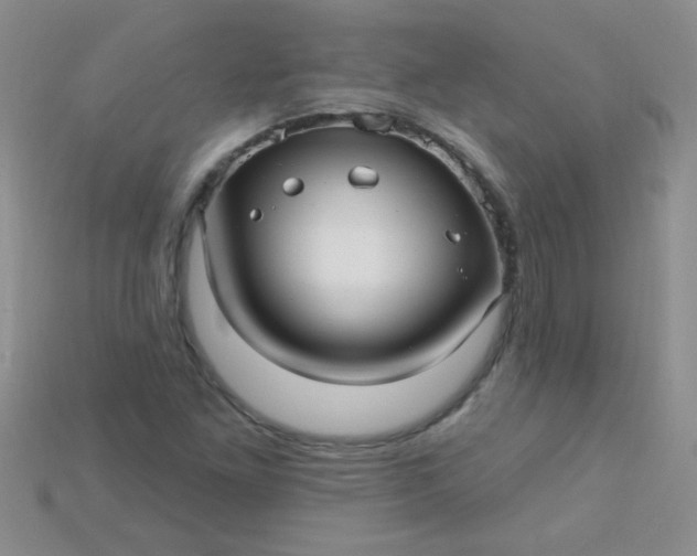 X0000115221261200911121917