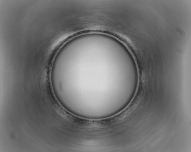 X0000115221263200911121917