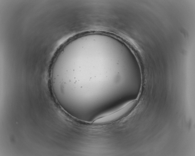 X0000115221264200911121917