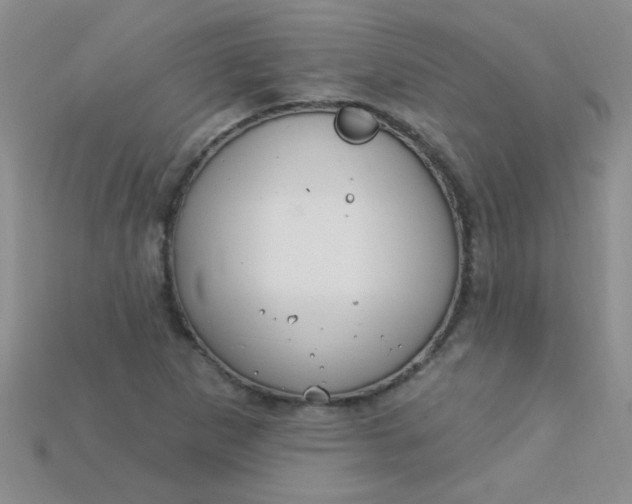 X0000115221265200911121917