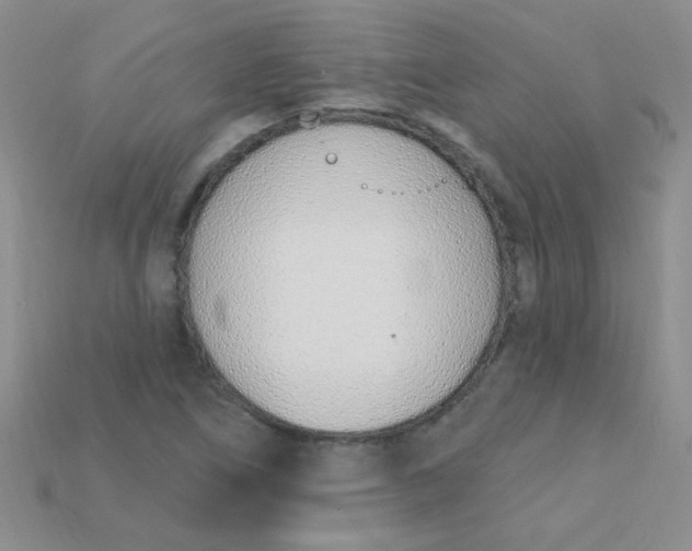X0000115221266200911121917