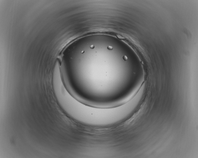 X0000115221273200911121917