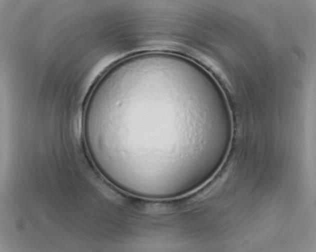 X0000115221275200911121917