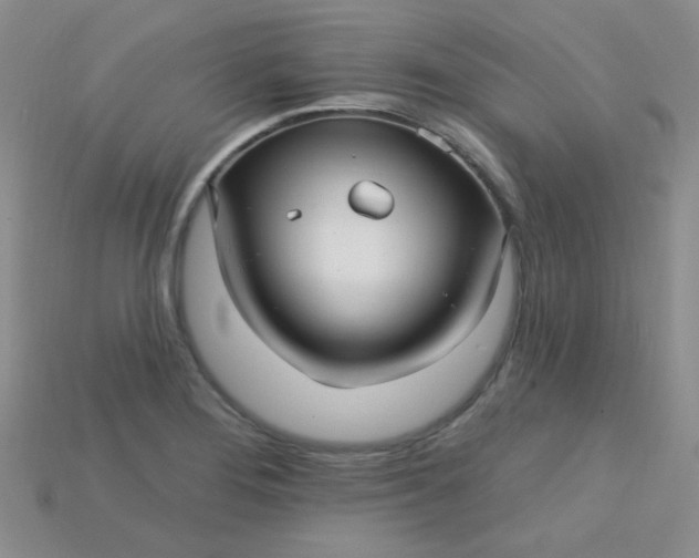 X0000115221276200911121917
