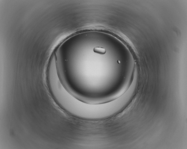 X0000115221277200911121917