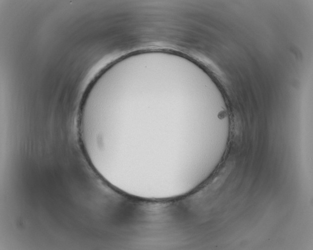 X0000115221278200911121917