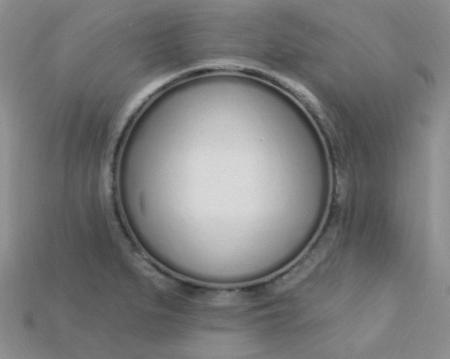 X0000115221279200911121917