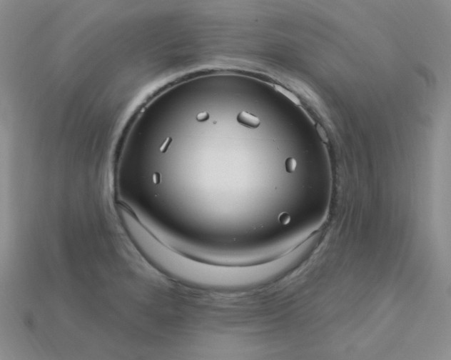 X0000115221280200911121917