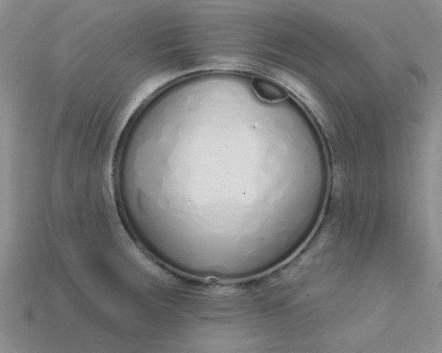 X0000115221283200911121917