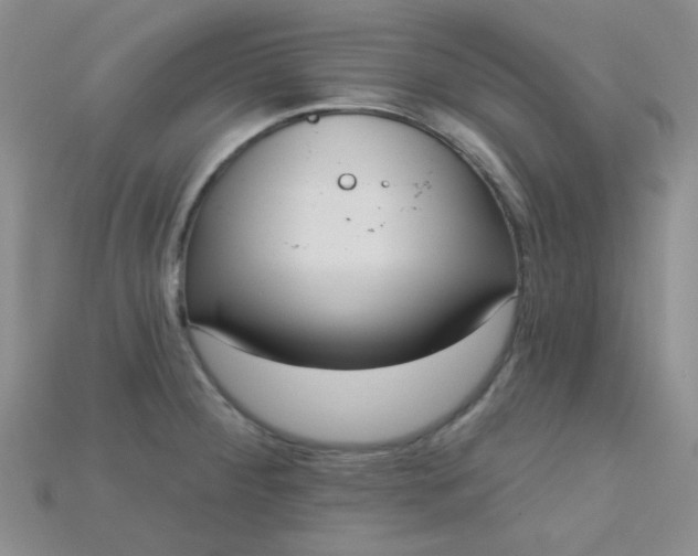 X0000115221284200911121917