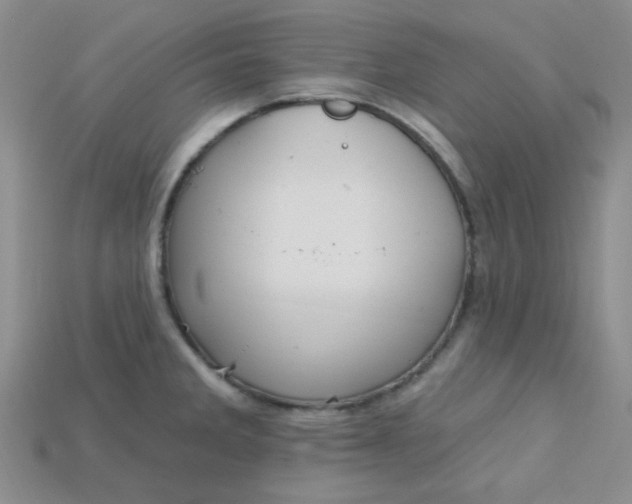 X0000115221285200911121917