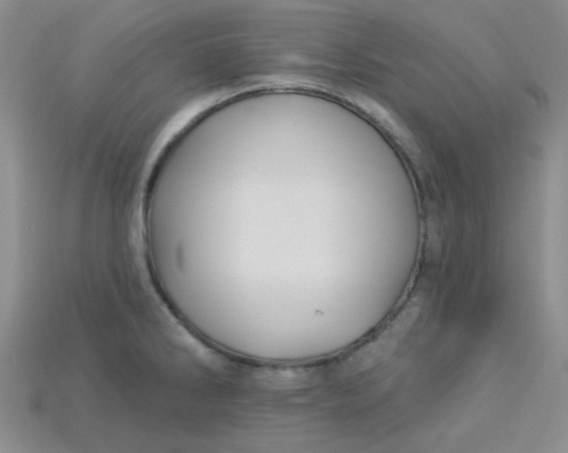 X0000115221286200911121917