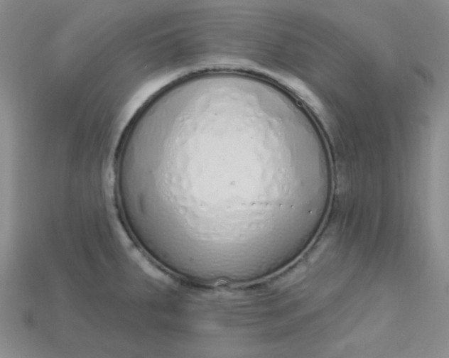 X0000115221287200911121917