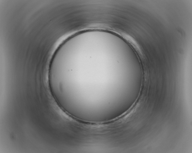 X0000115221288200911121917
