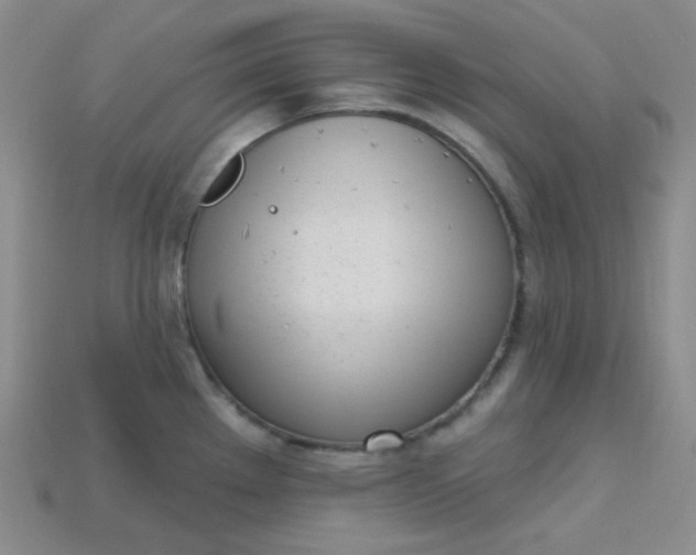 X0000115221289200911121917