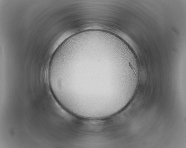 X0000115221290200911121917