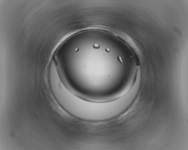 X0000115221292200911121917