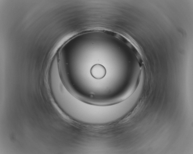 X0000115221293200911121917