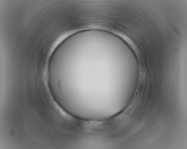 X0000115221294200911121917