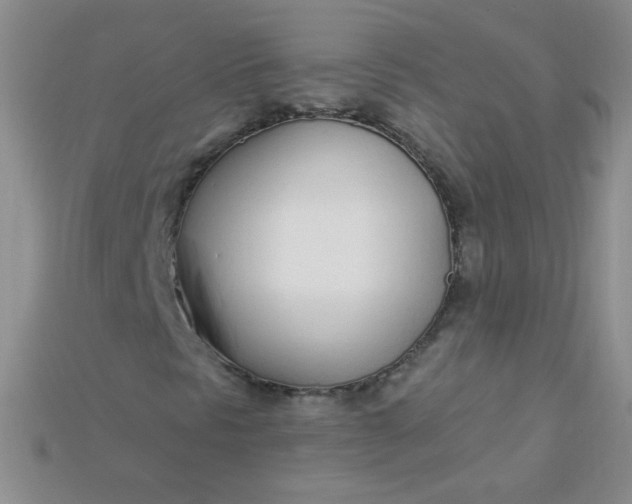 X0000115221297200911121916