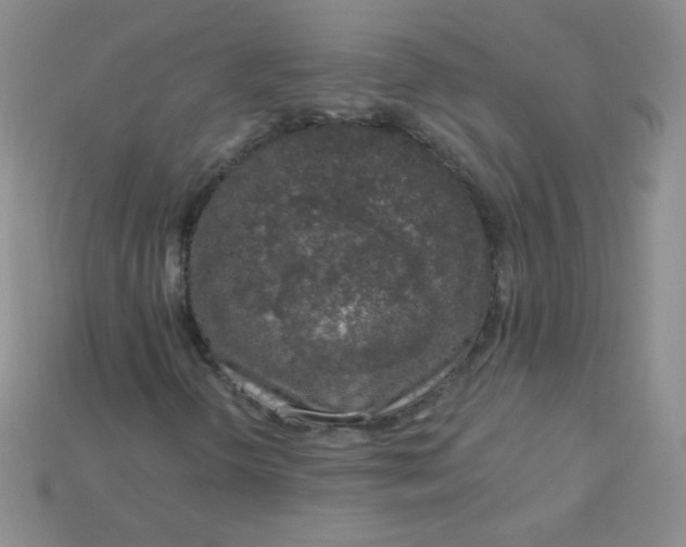 X0000115221298200911121916