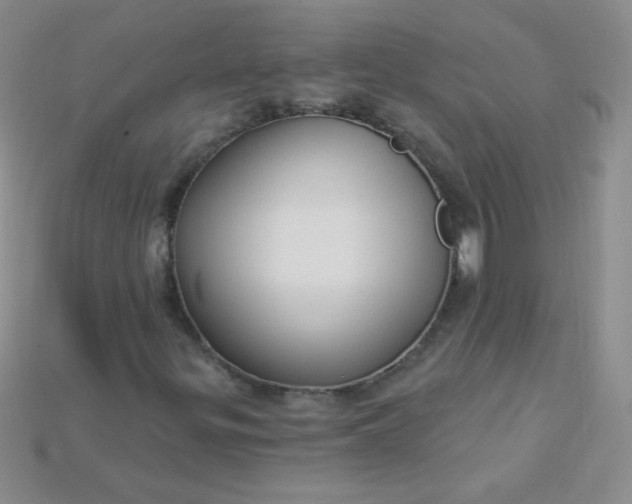X0000115221299200911121916