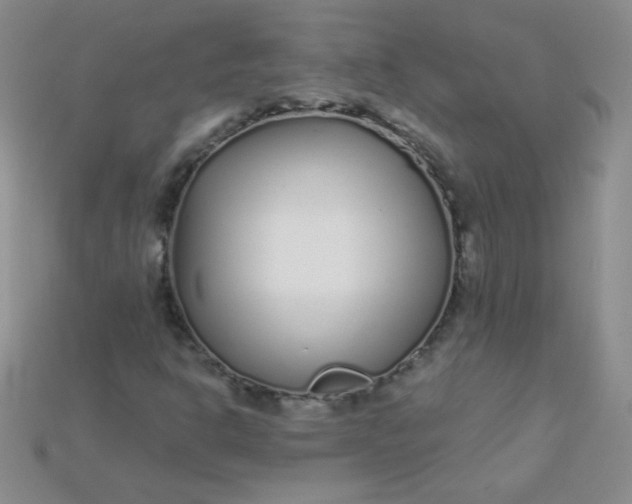 X0000115221302200911121916