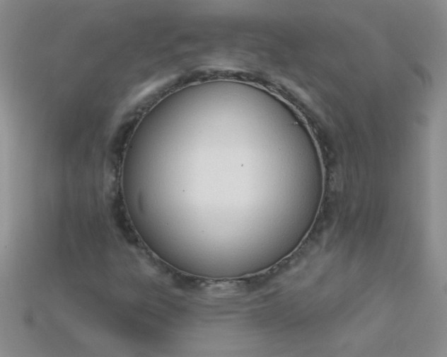 X0000115221303200911121916