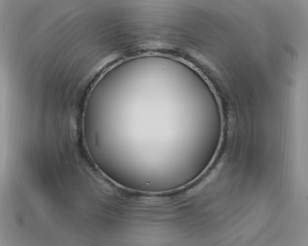 X0000115221305200911121916