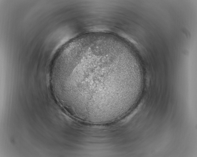 X0000115221306200911121916