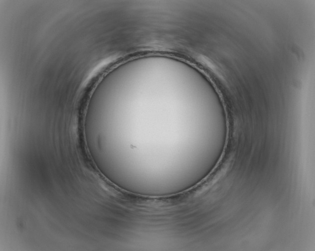 X0000115221307200911121916