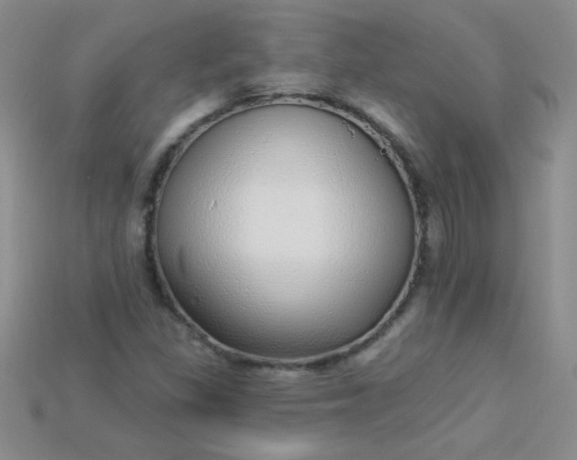 X0000115221309200911121916