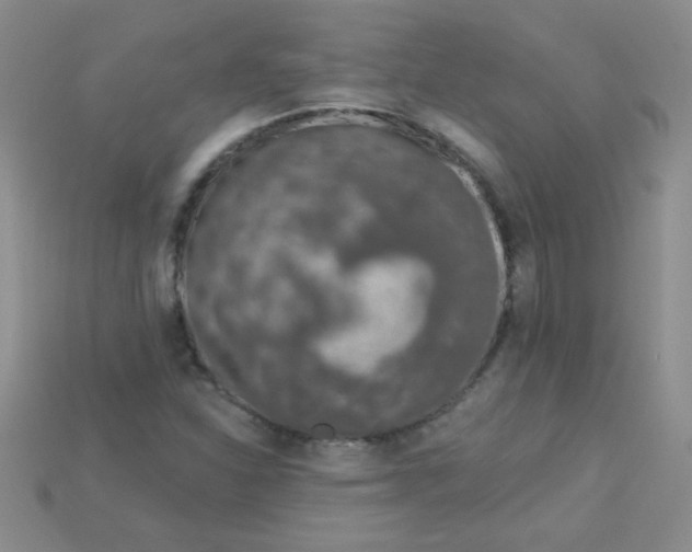 X0000115221310200911121916