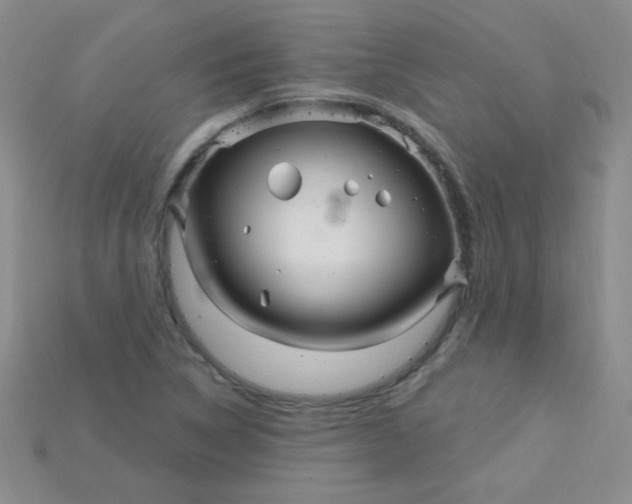 X0000115221314200911121916