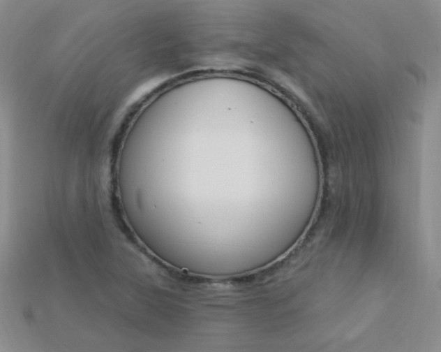 X0000115221315200911121916