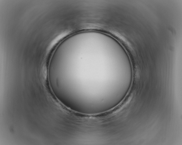 X0000115221317200911121916